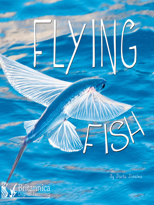 Title details for Flying Fish by Darla Duhaime - Available